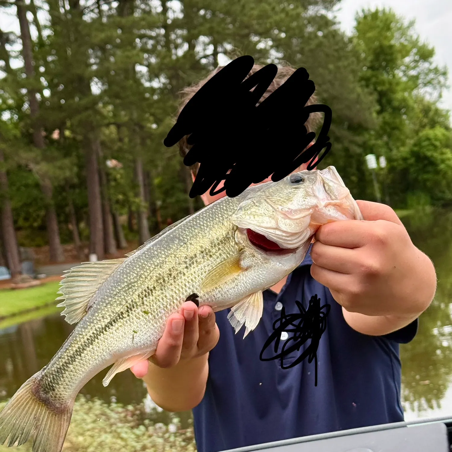Largemouth bass caught on Fishbrain