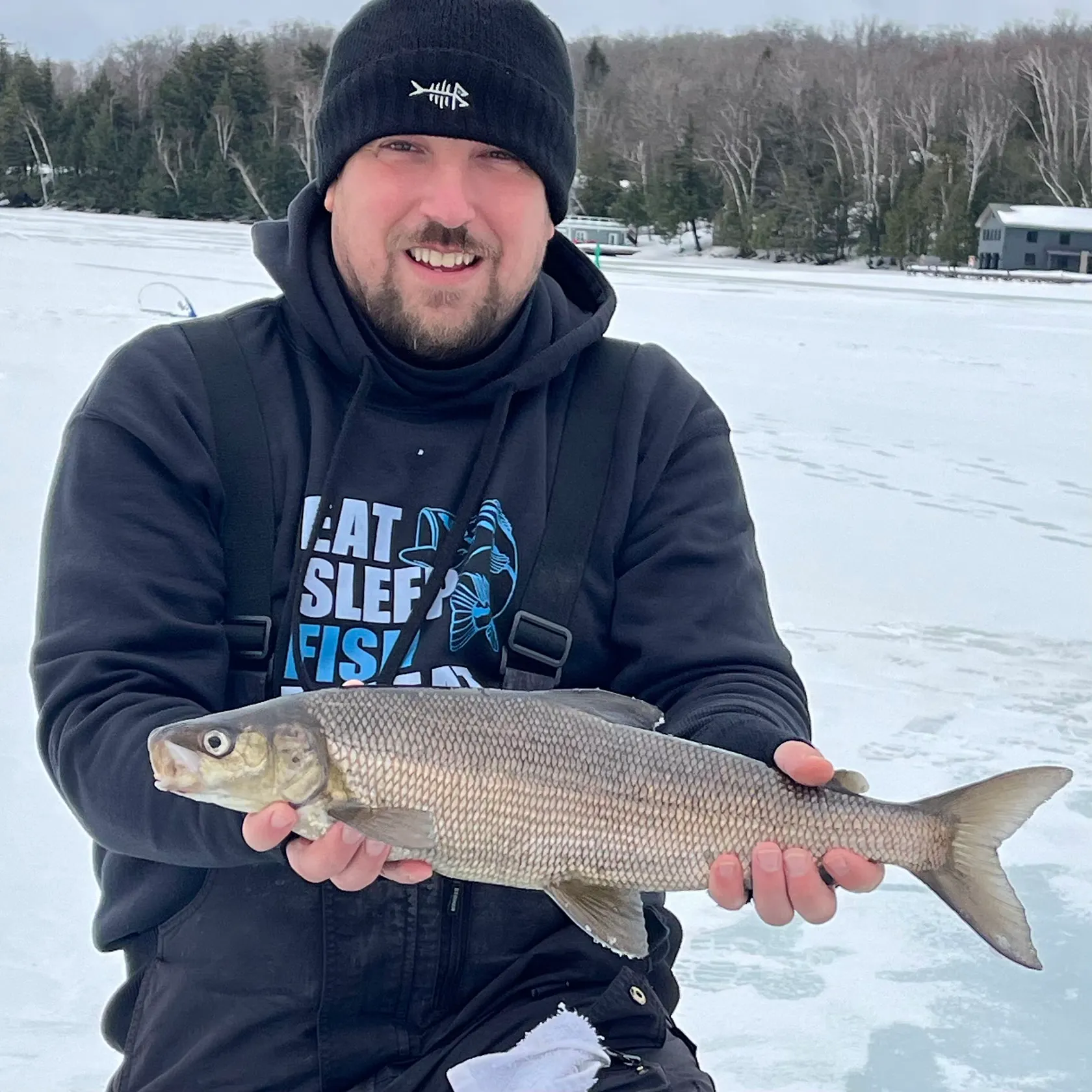 The most recent Lake whitefish catches on Fishbrain