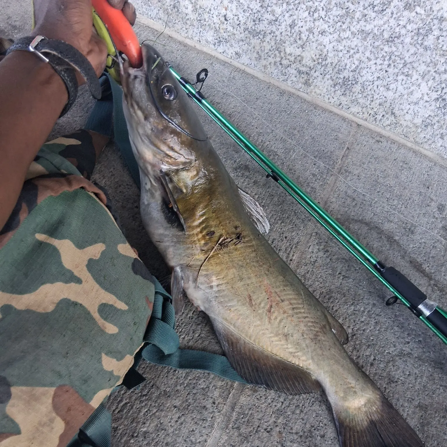 catch