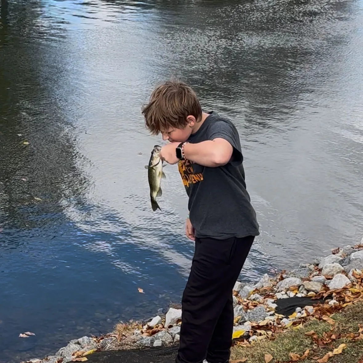 The most recent Spotted bass catches on Fishbrain