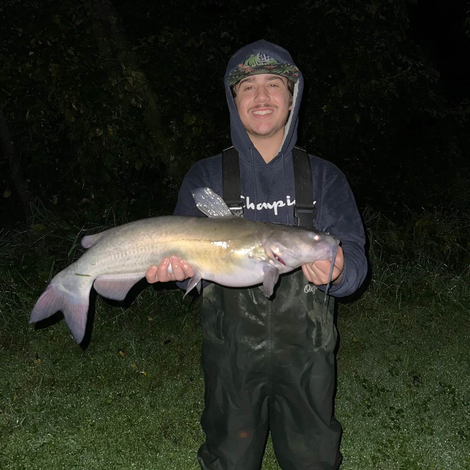 Channel catfish caught on Fishbrain