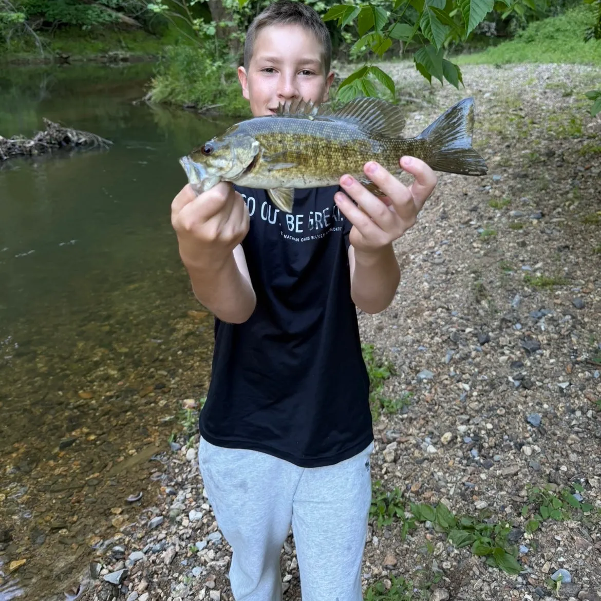 The most recent Smallmouth bass catches on Fishbrain