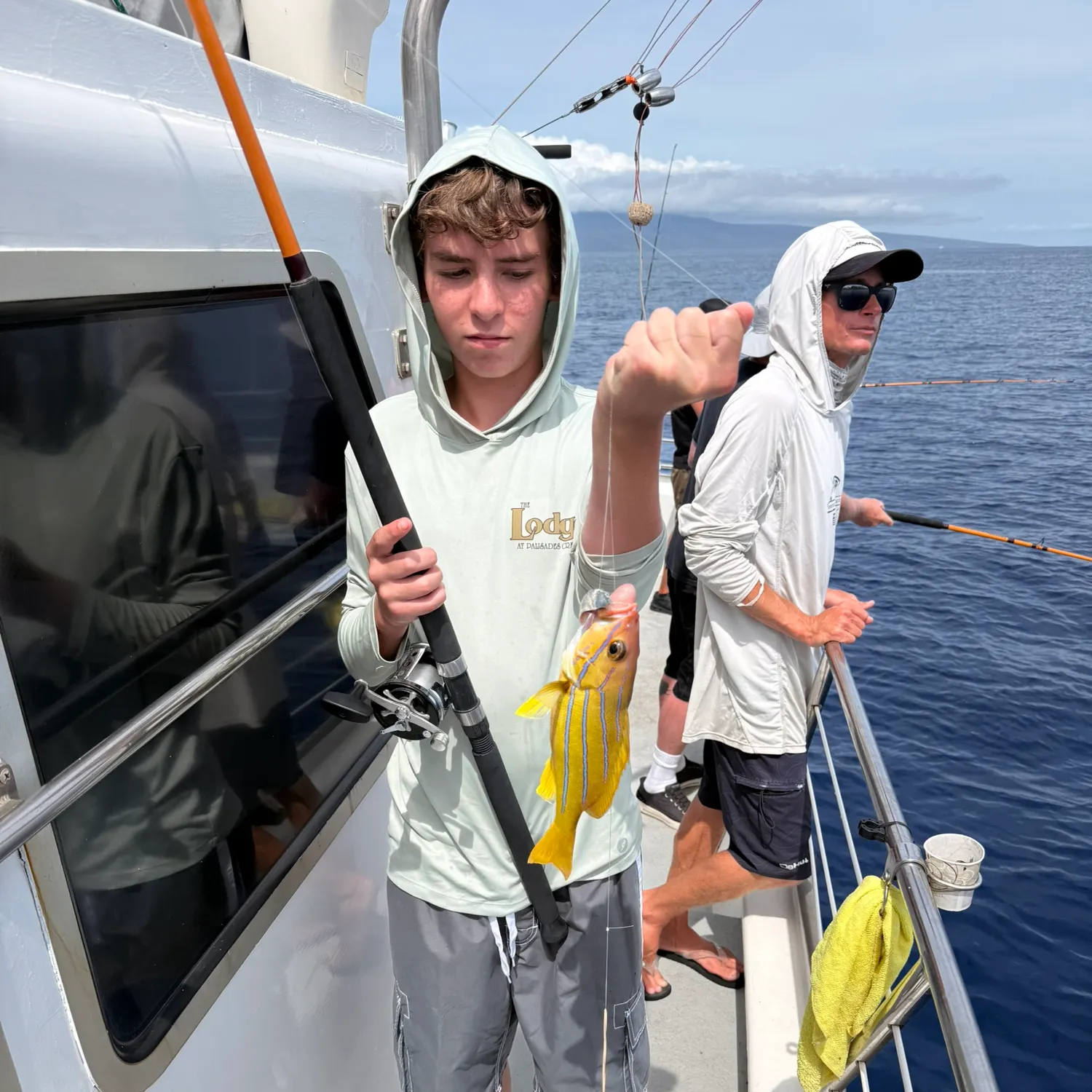 The most recent Common bluestripe snapper catches on Fishbrain