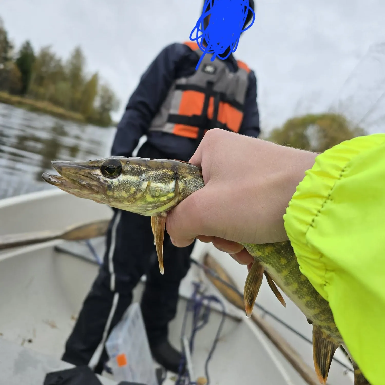 Northern pike caught on Fishbrain