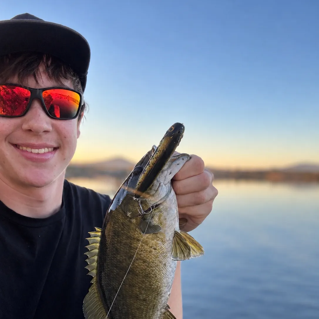 Smallmouth bass caught on Fishbrain