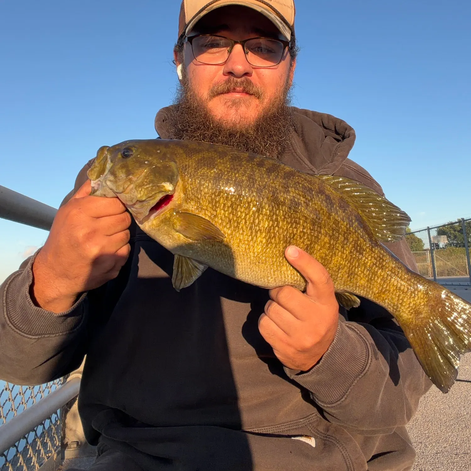 Smallmouth bass caught on Fishbrain