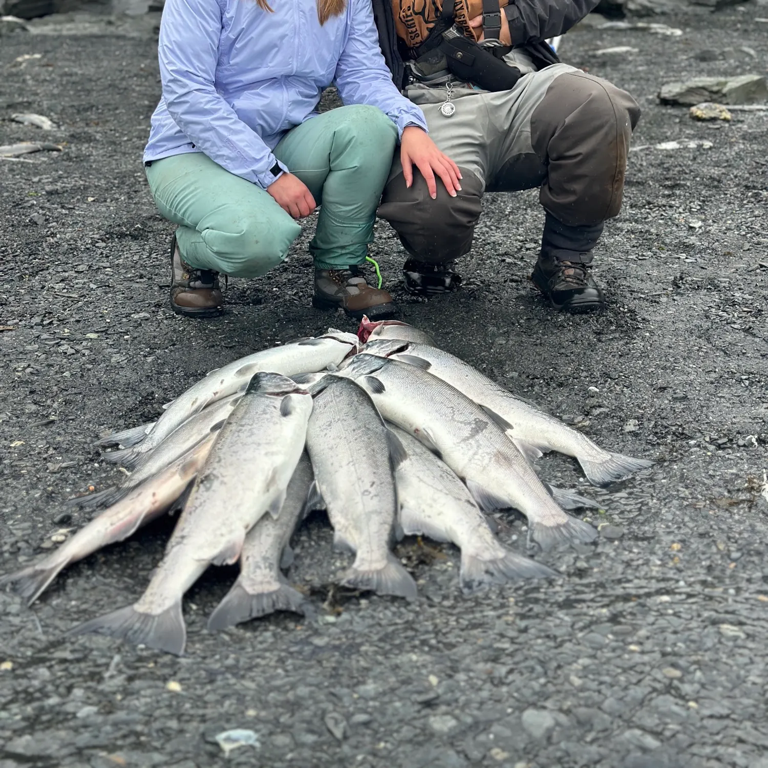 Fish caught on Fishbrain