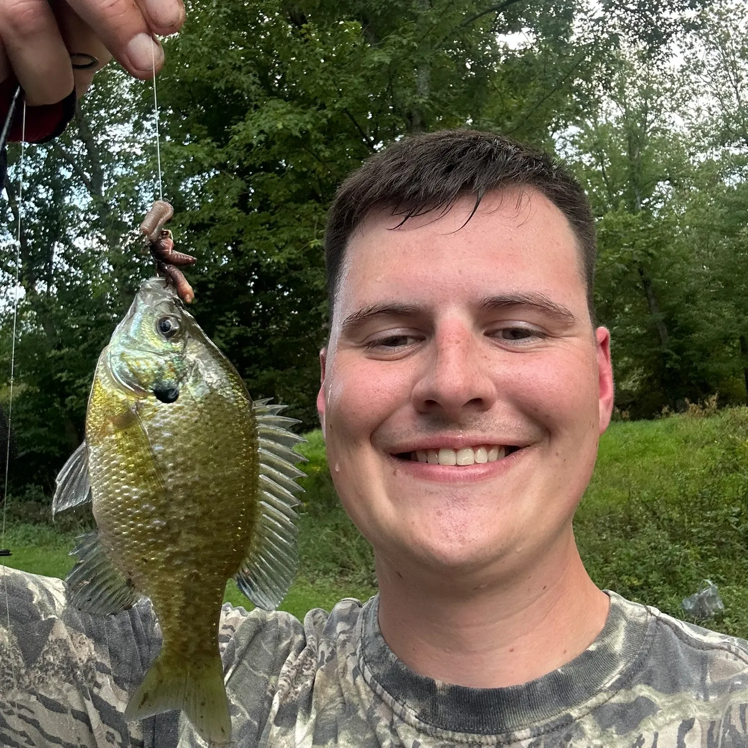 Bluegill caught on Fishbrain