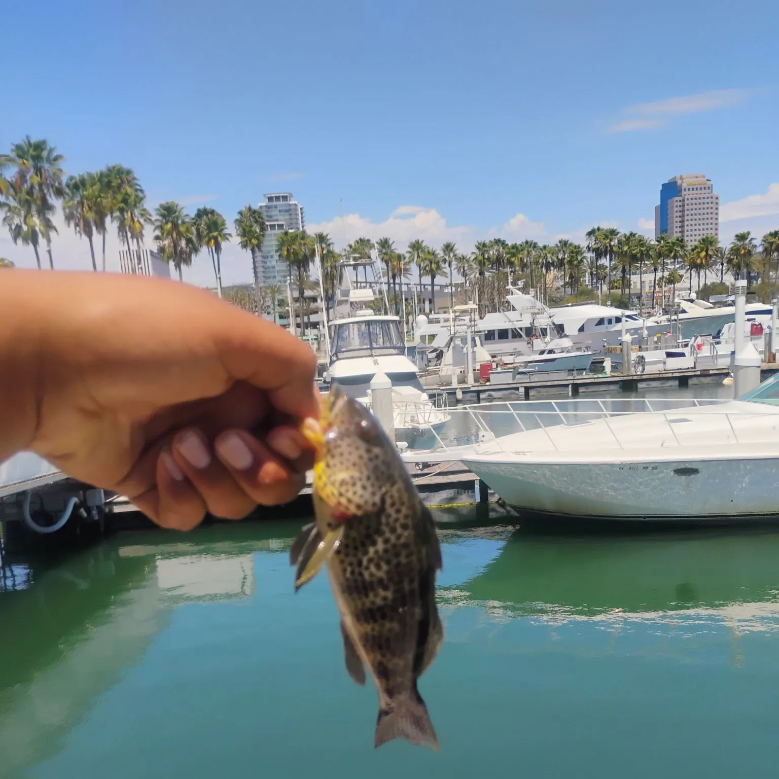 catch