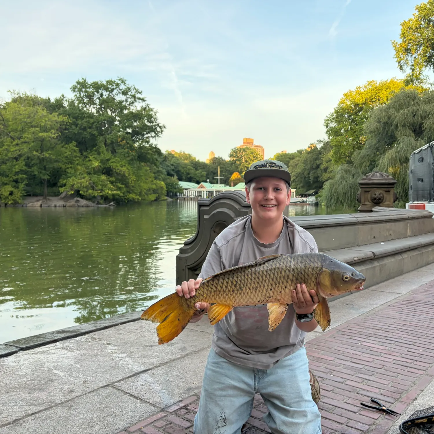 Common carp caught on Fishbrain