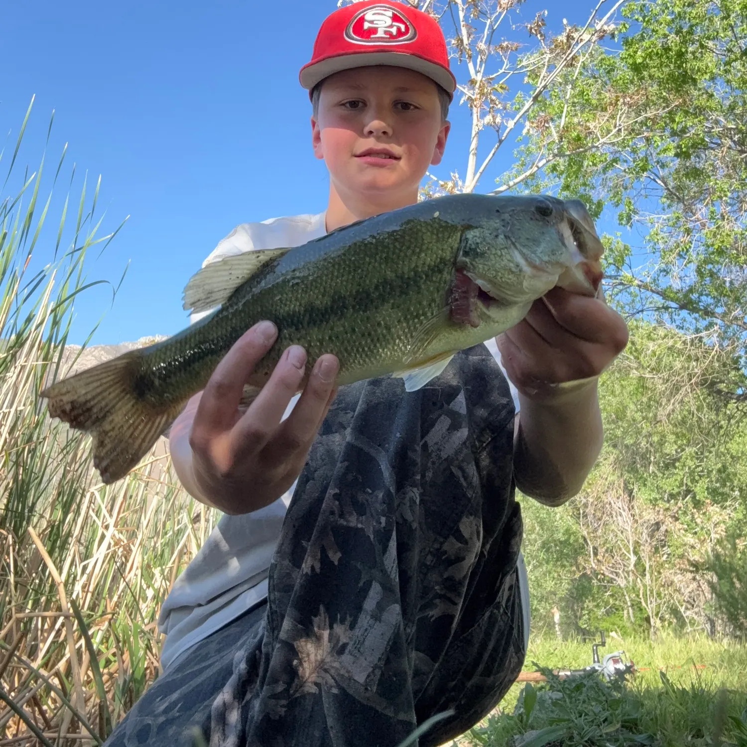 Largemouth bass caught on Fishbrain