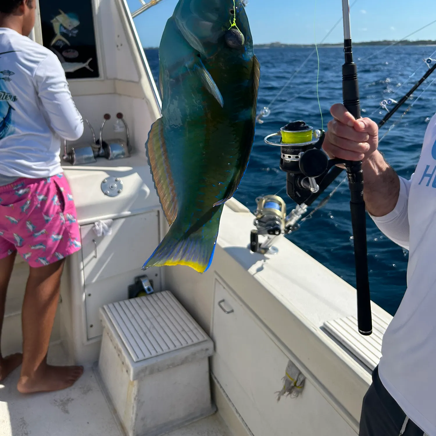 The most recent Common parrotfish catches on Fishbrain