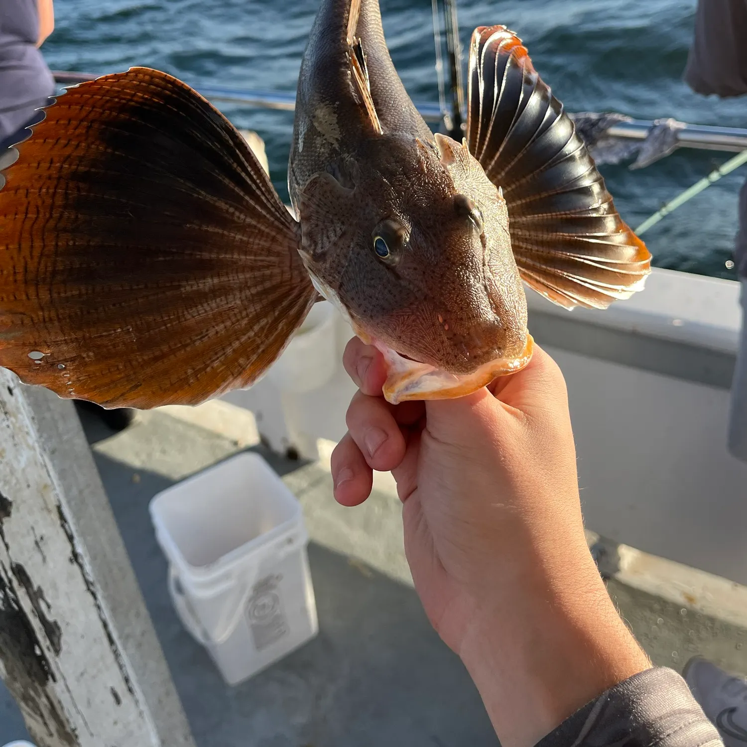 catch