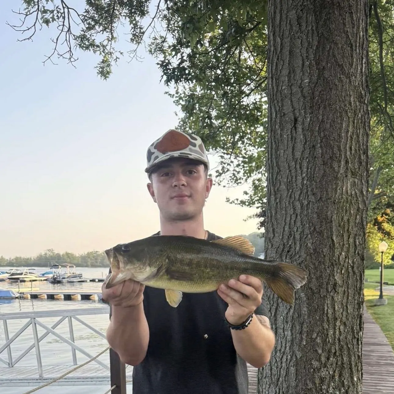 The most recent Largemouth bass catches on Fishbrain