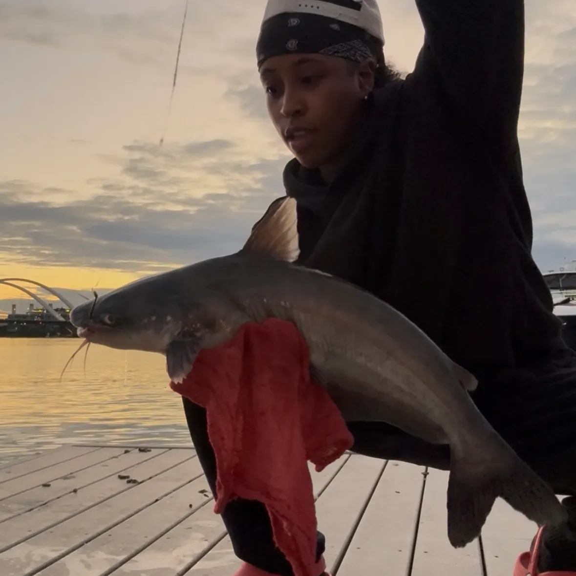 Blue catfish caught on Fishbrain