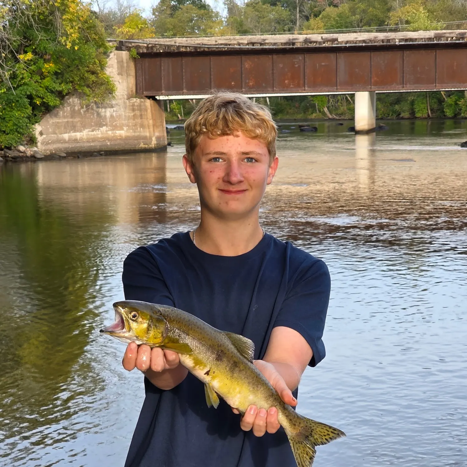 Pink salmon caught on Fishbrain
