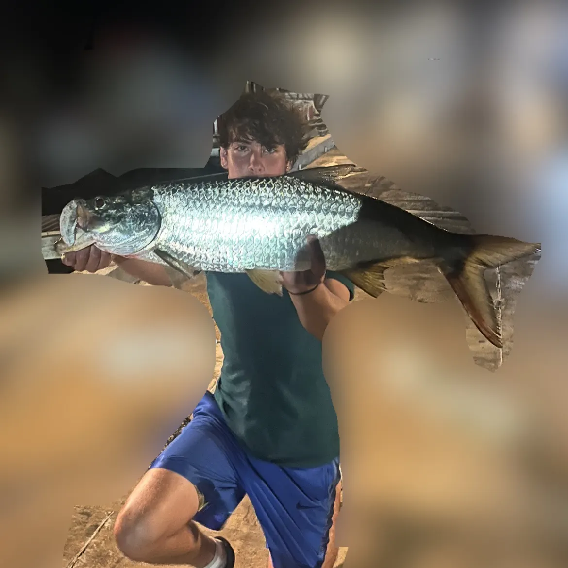 The most recent Tarpon catches on Fishbrain