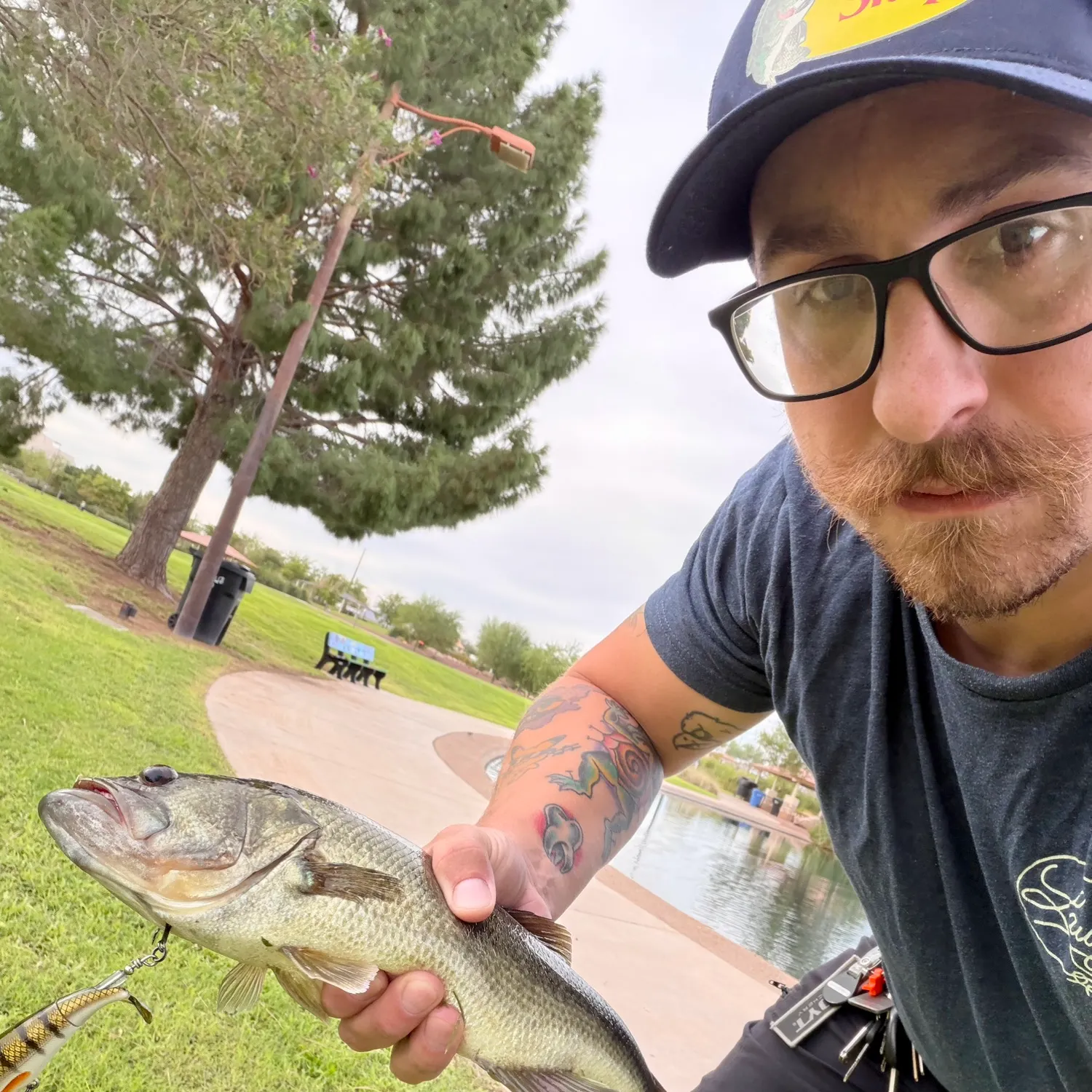 Largemouth bass caught on Fishbrain