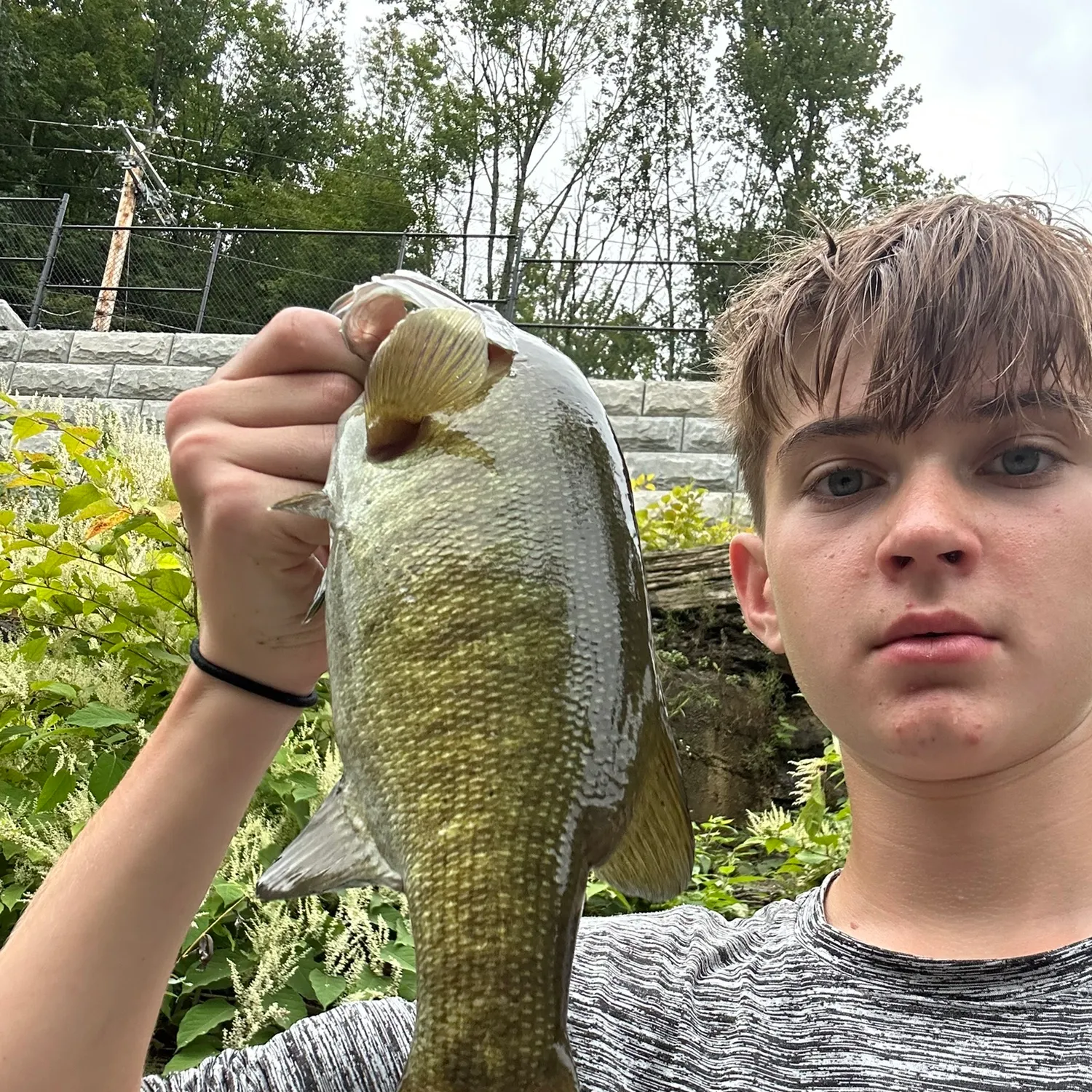 Smallmouth bass caught on Fishbrain