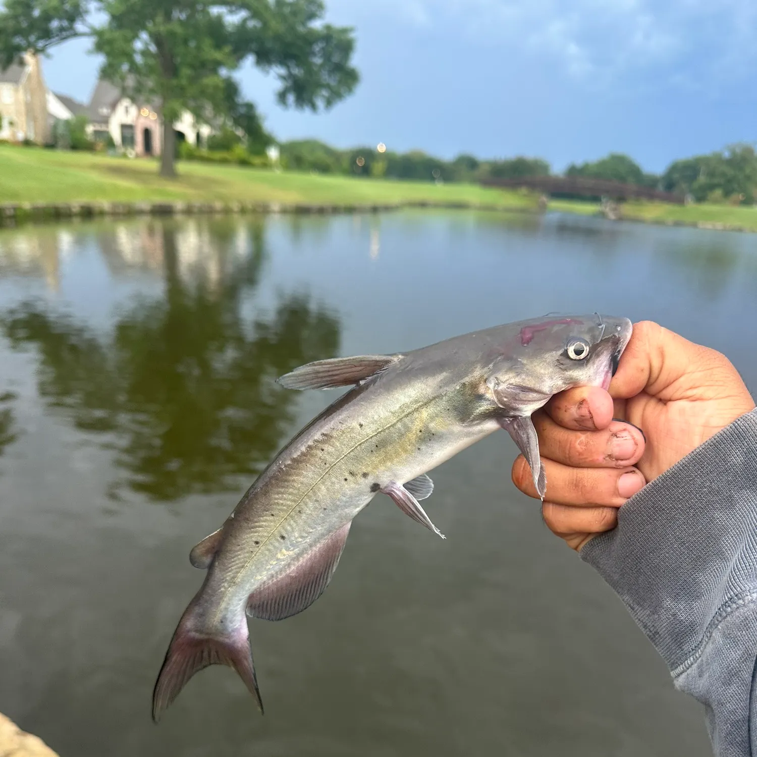 catch
