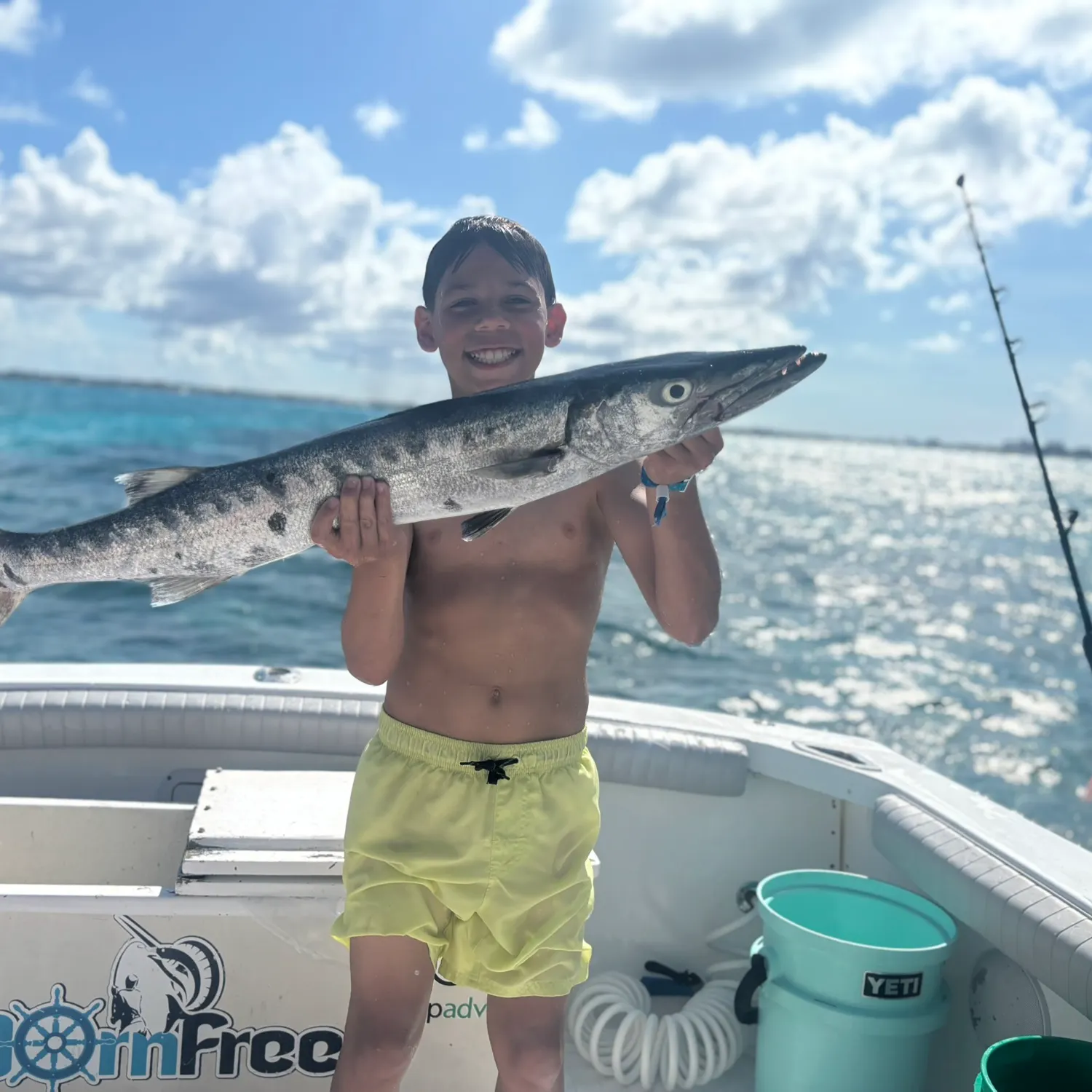 The most recent Great barracuda catches on Fishbrain
