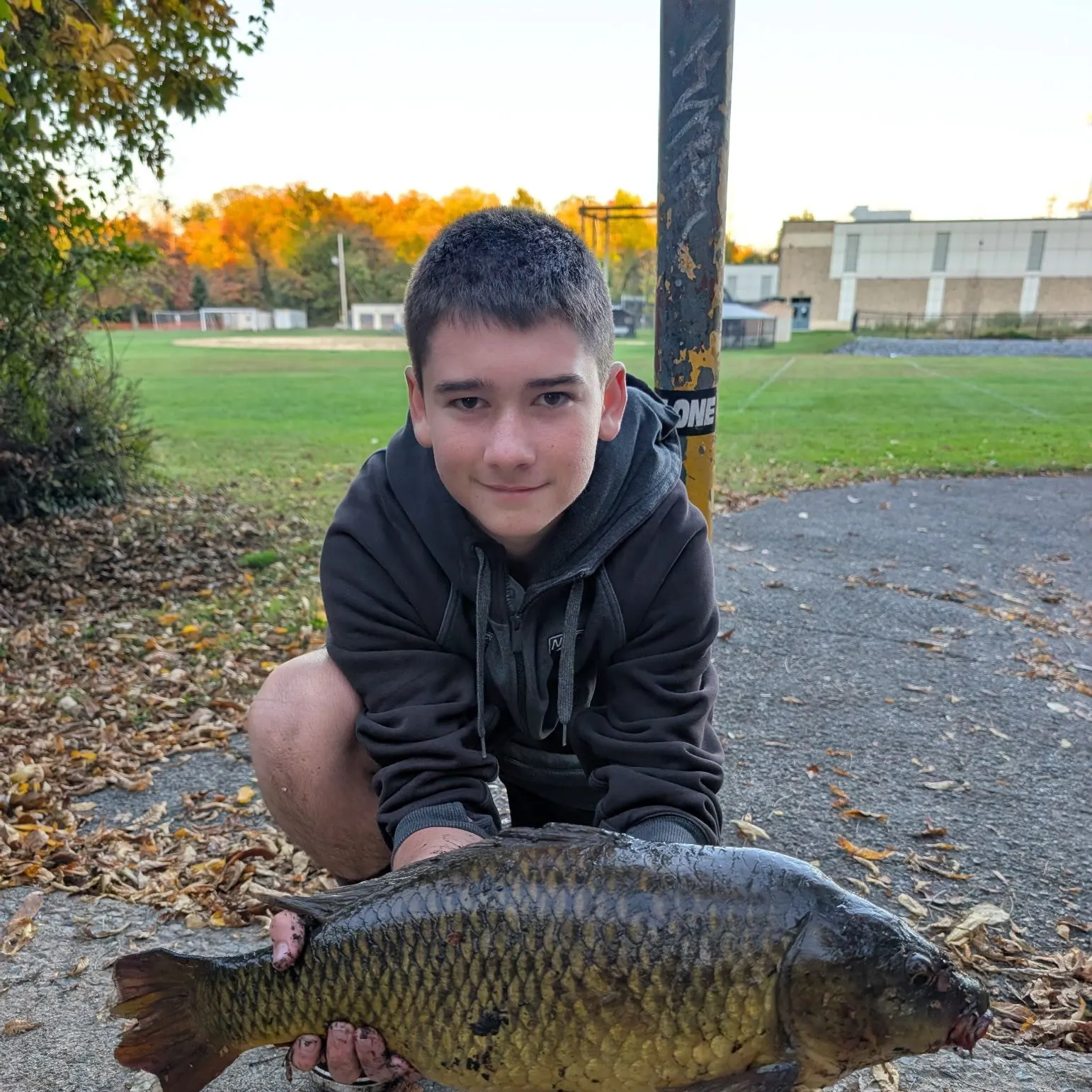 Common carp caught on Fishbrain