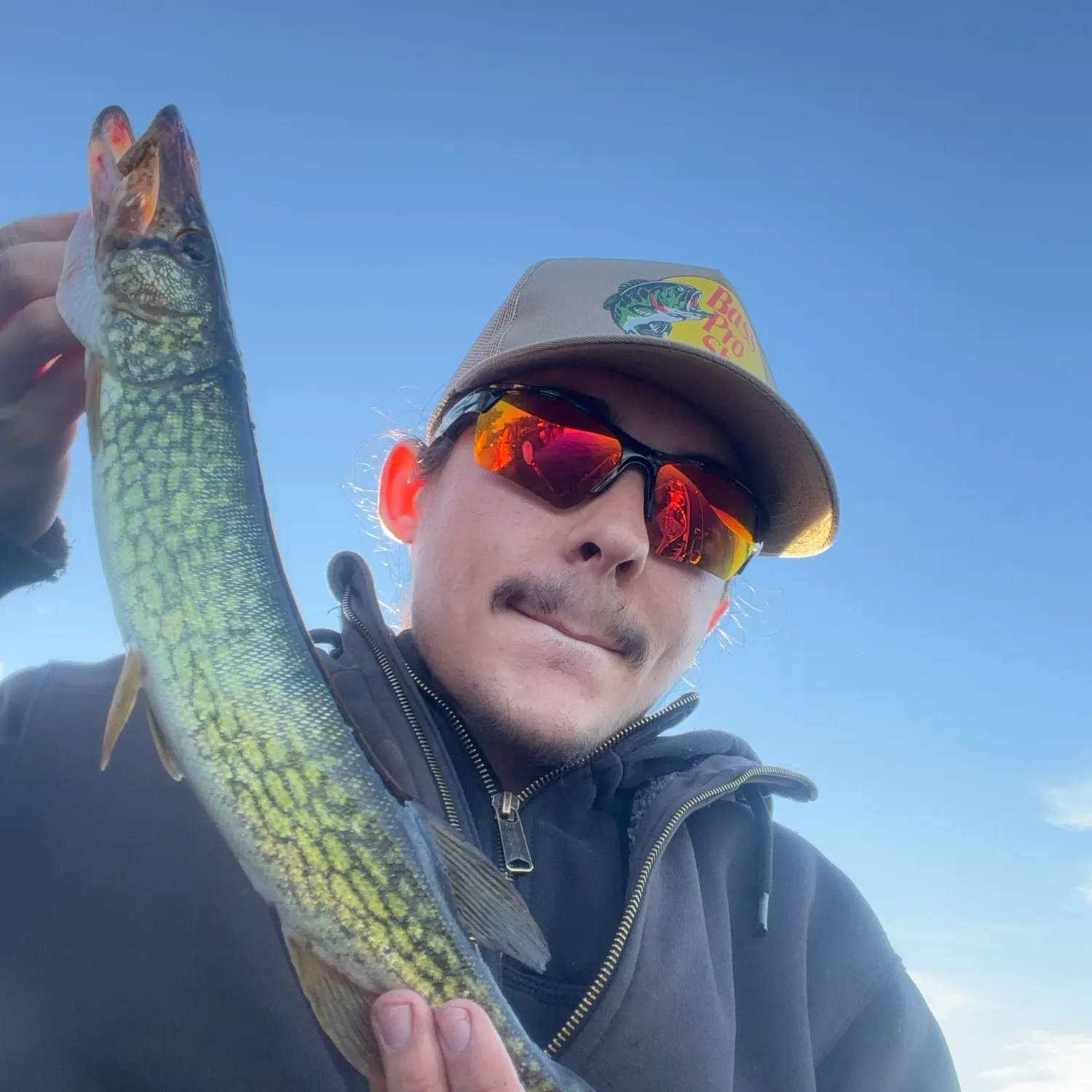 Chain pickerel caught on Fishbrain