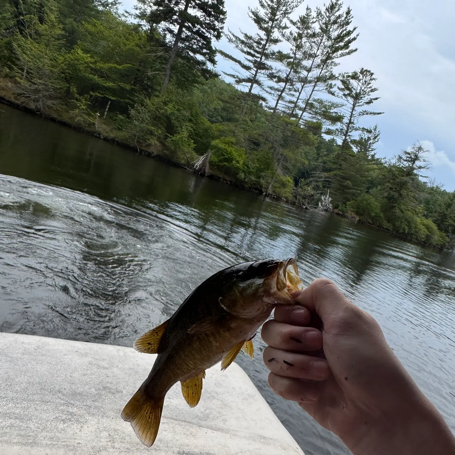 catch