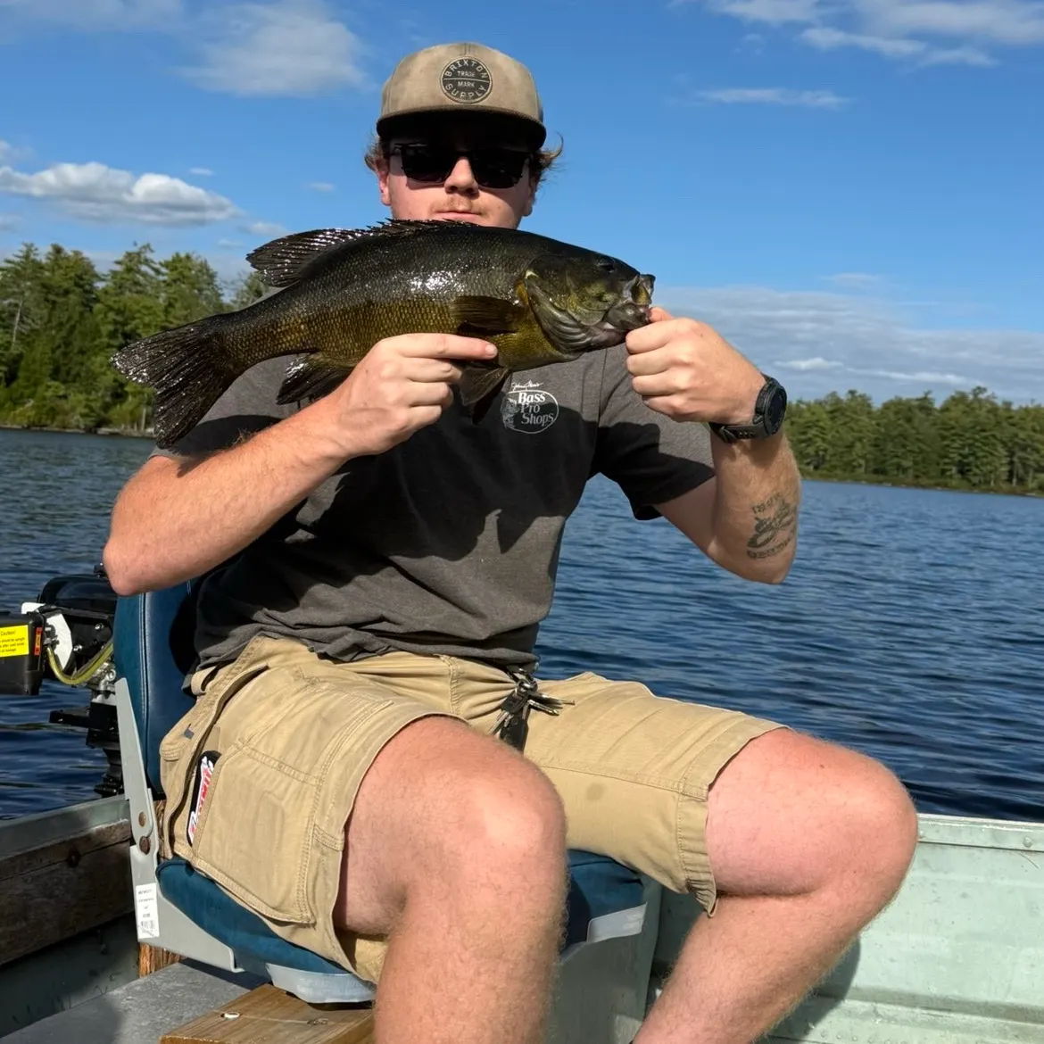 Smallmouth bass caught on Fishbrain