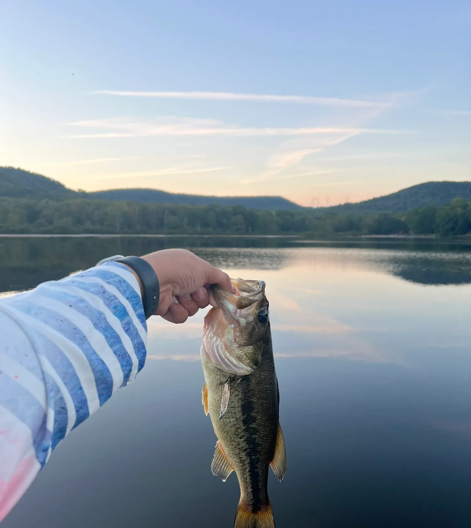 recently logged catches