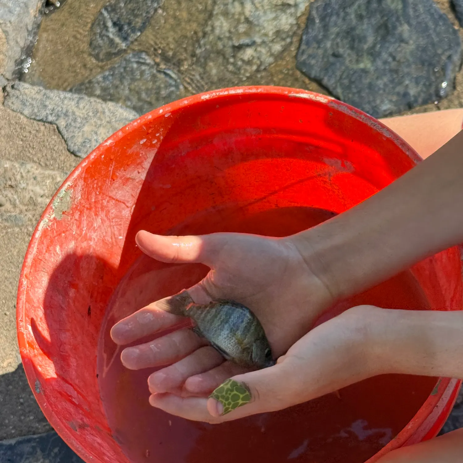 catch