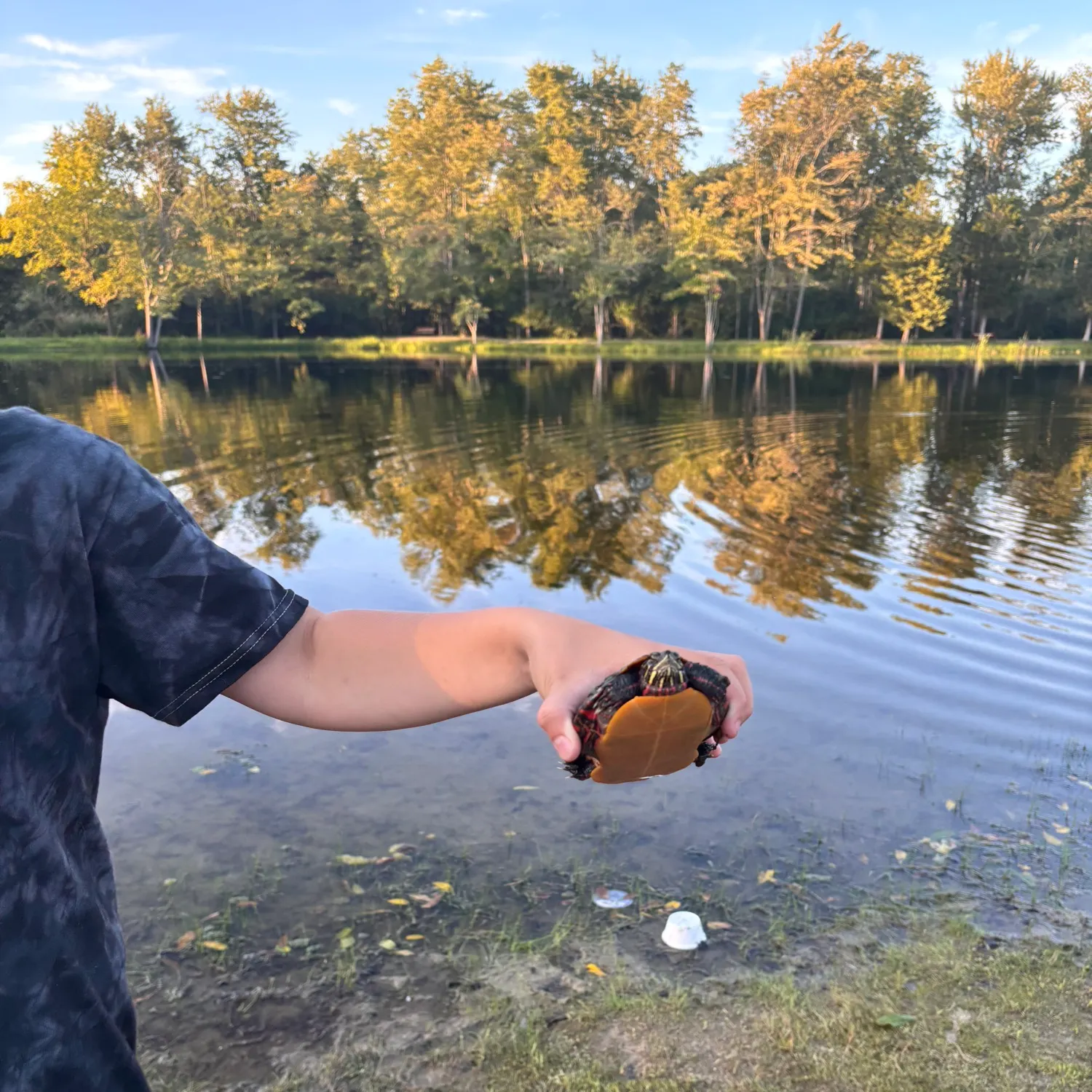 The most recent Painted turtle catches on Fishbrain