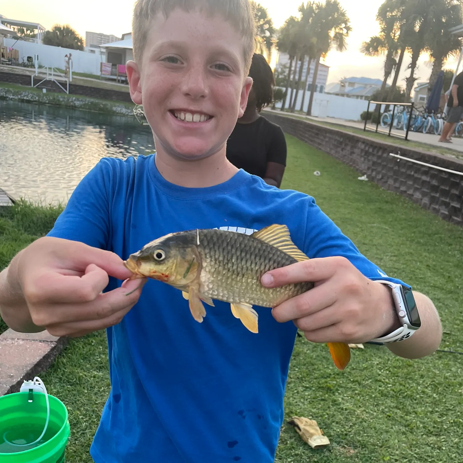 The most recent Koi x common carp catches on Fishbrain