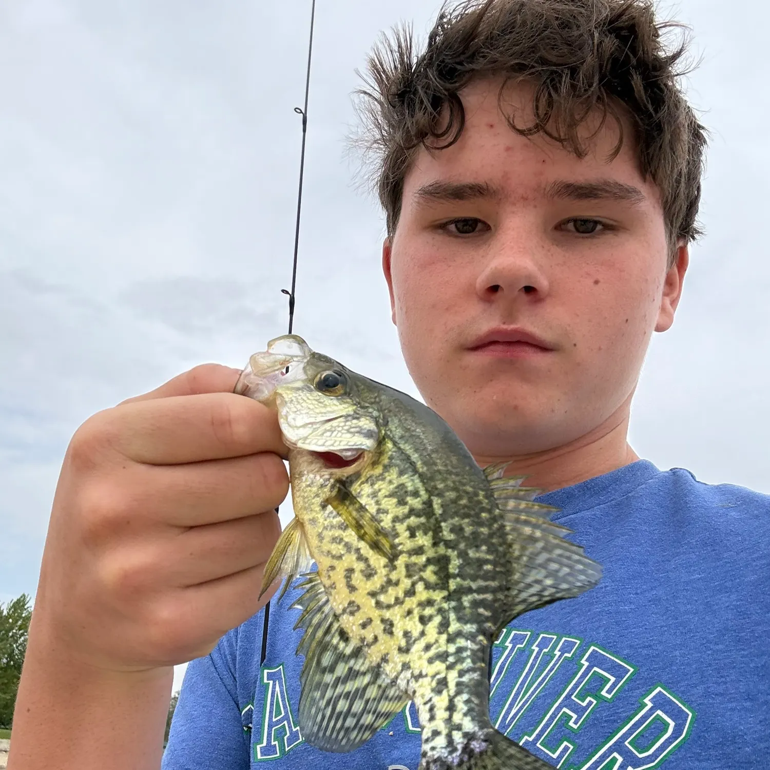 Black crappie caught on Fishbrain