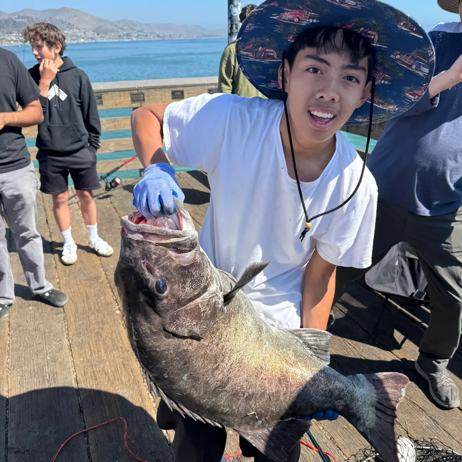 The most recent Giant sea bass catches on Fishbrain