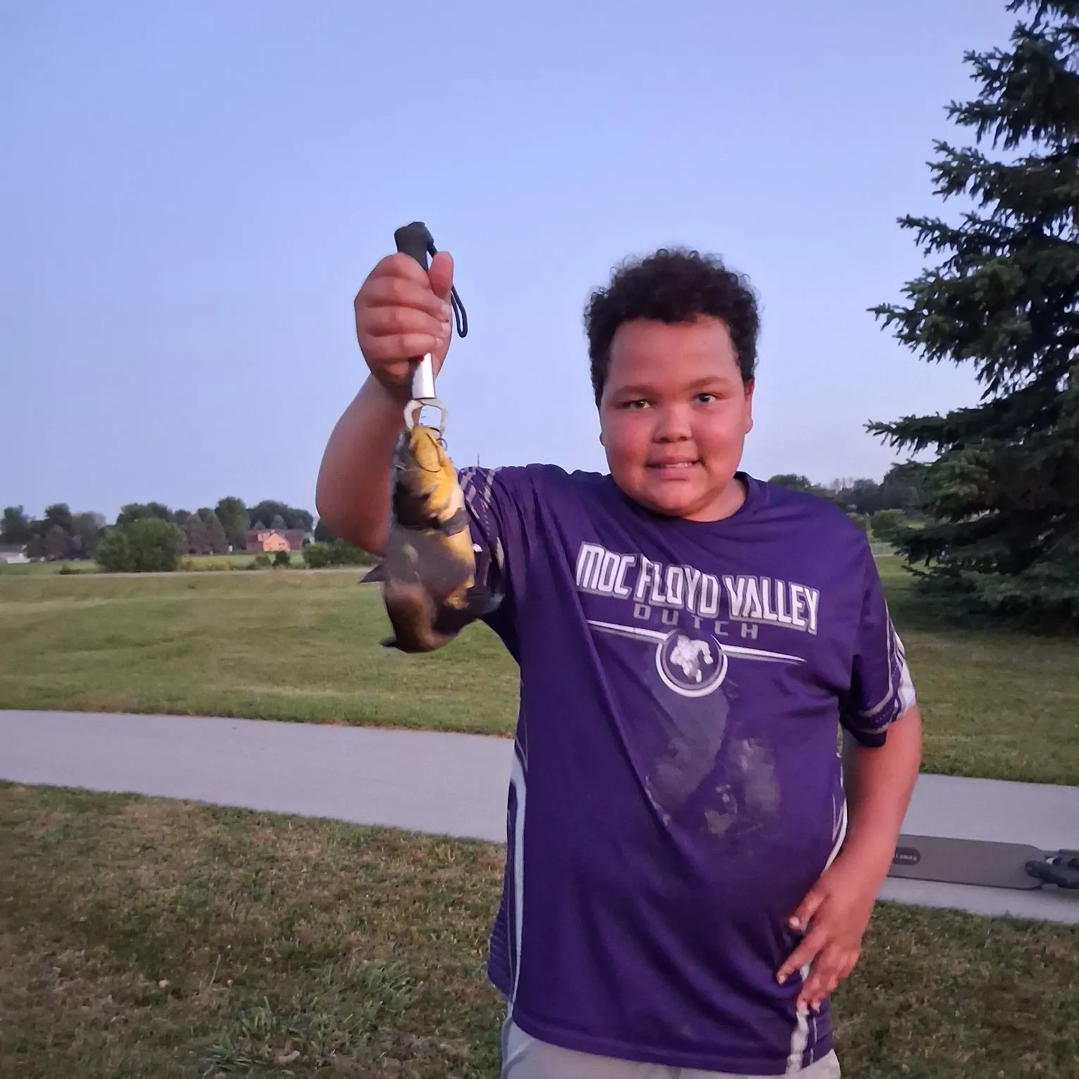The most recent Yellow bullhead catches on Fishbrain