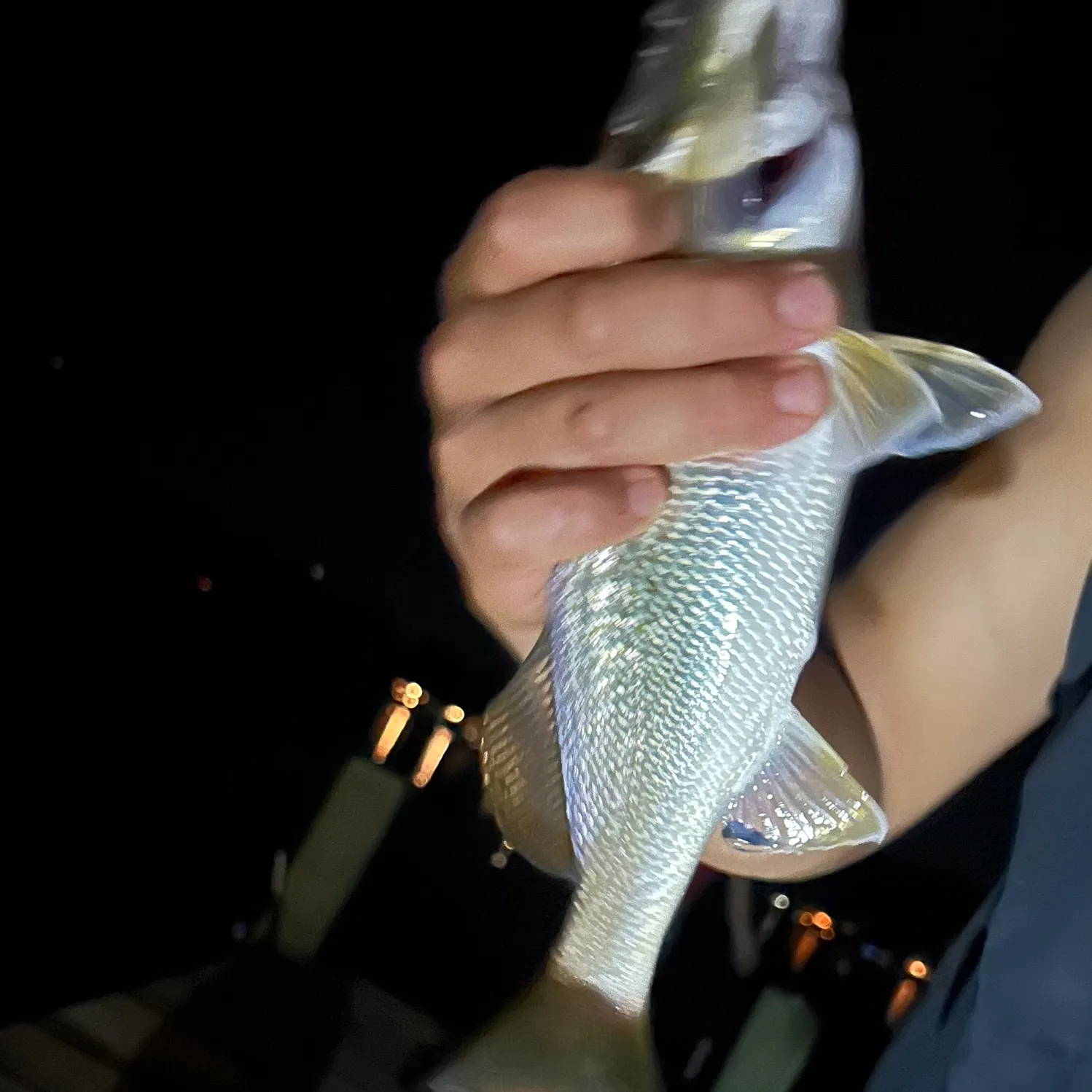 Atlantic croaker caught on Fishbrain