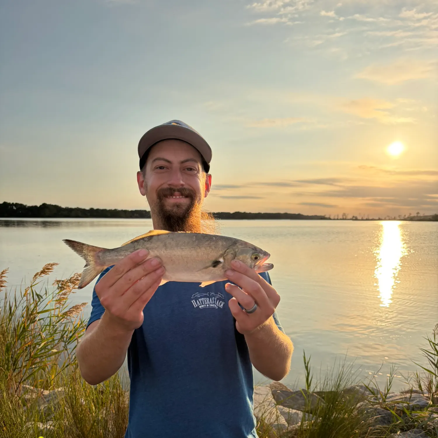 Bluefish caught on Fishbrain