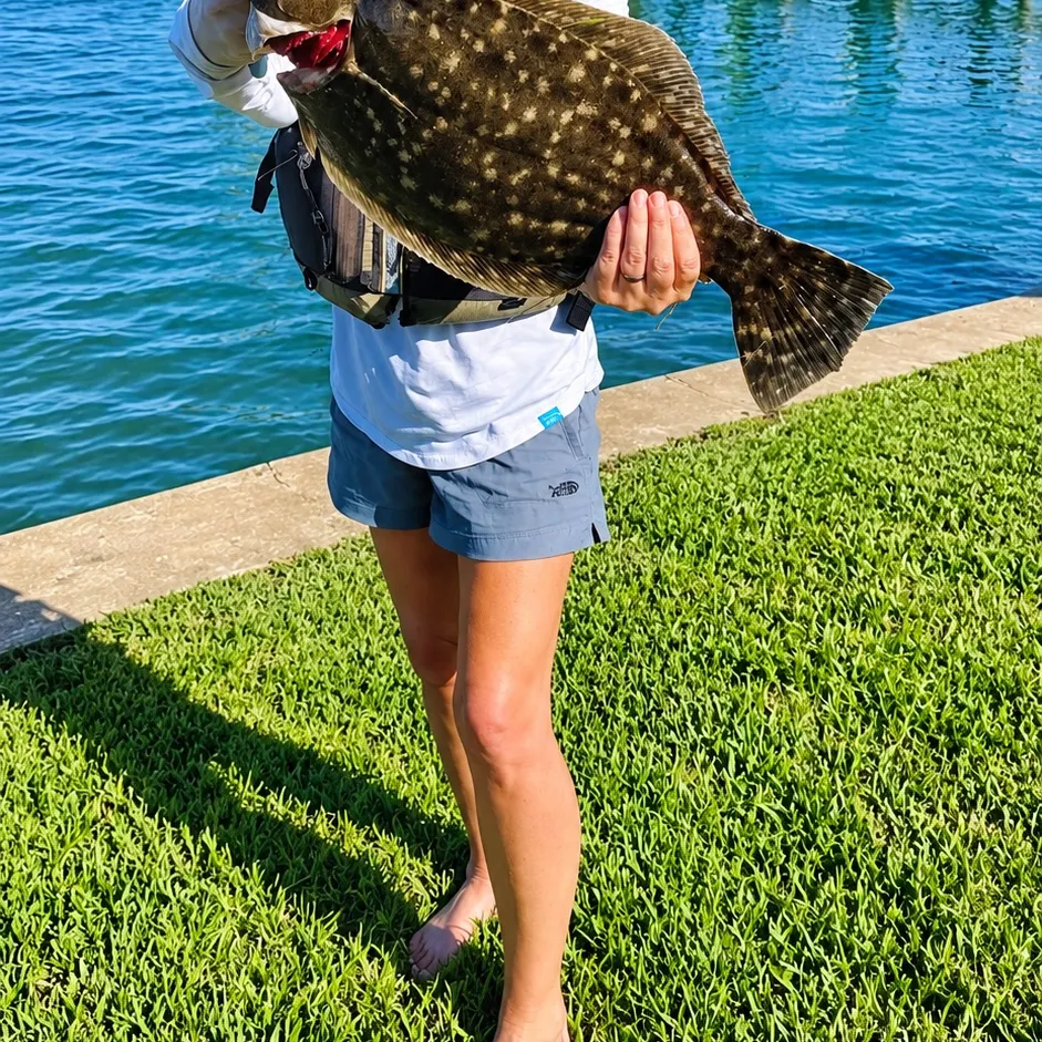 The most recent Summer flounder catches on Fishbrain