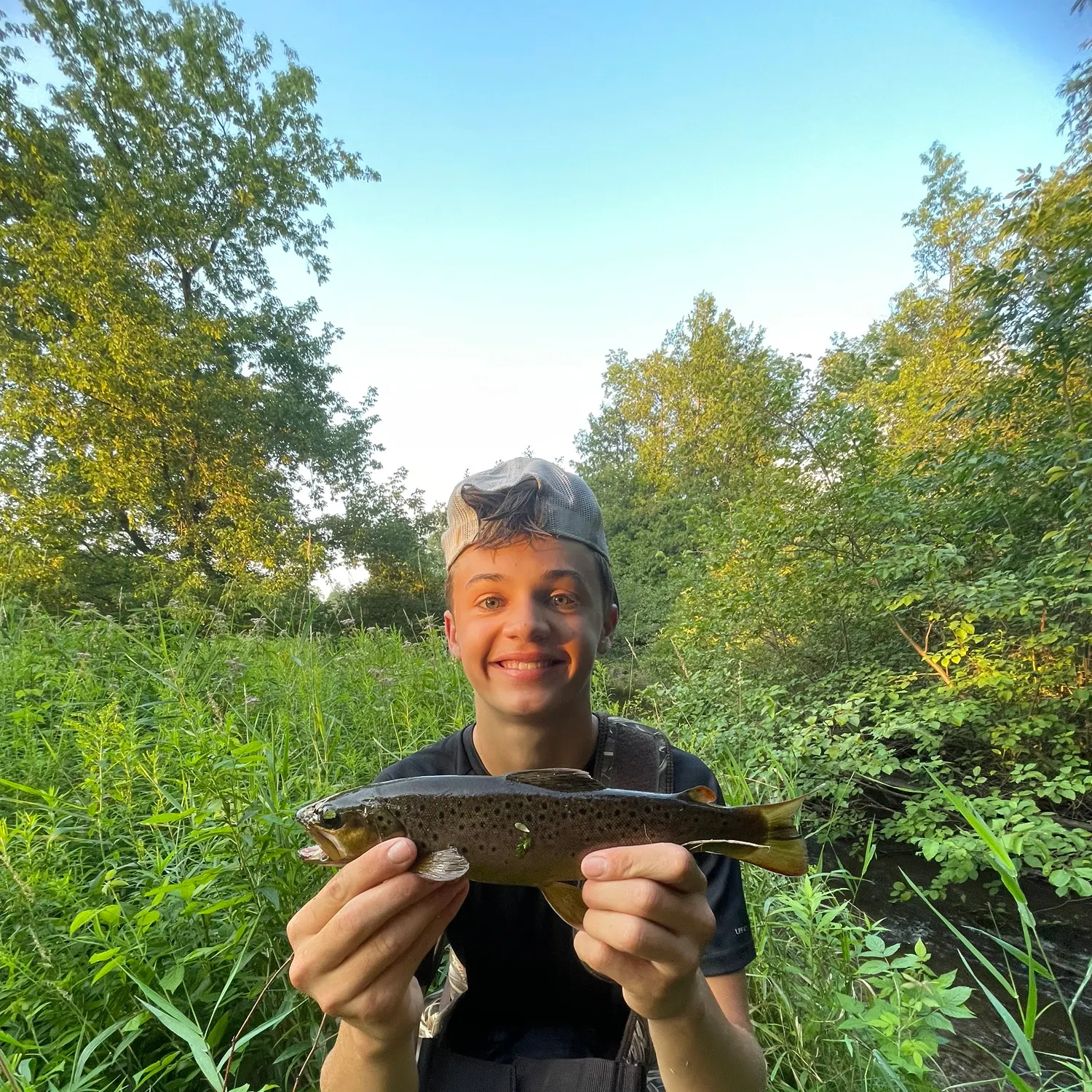 Brown trout caught on Fishbrain