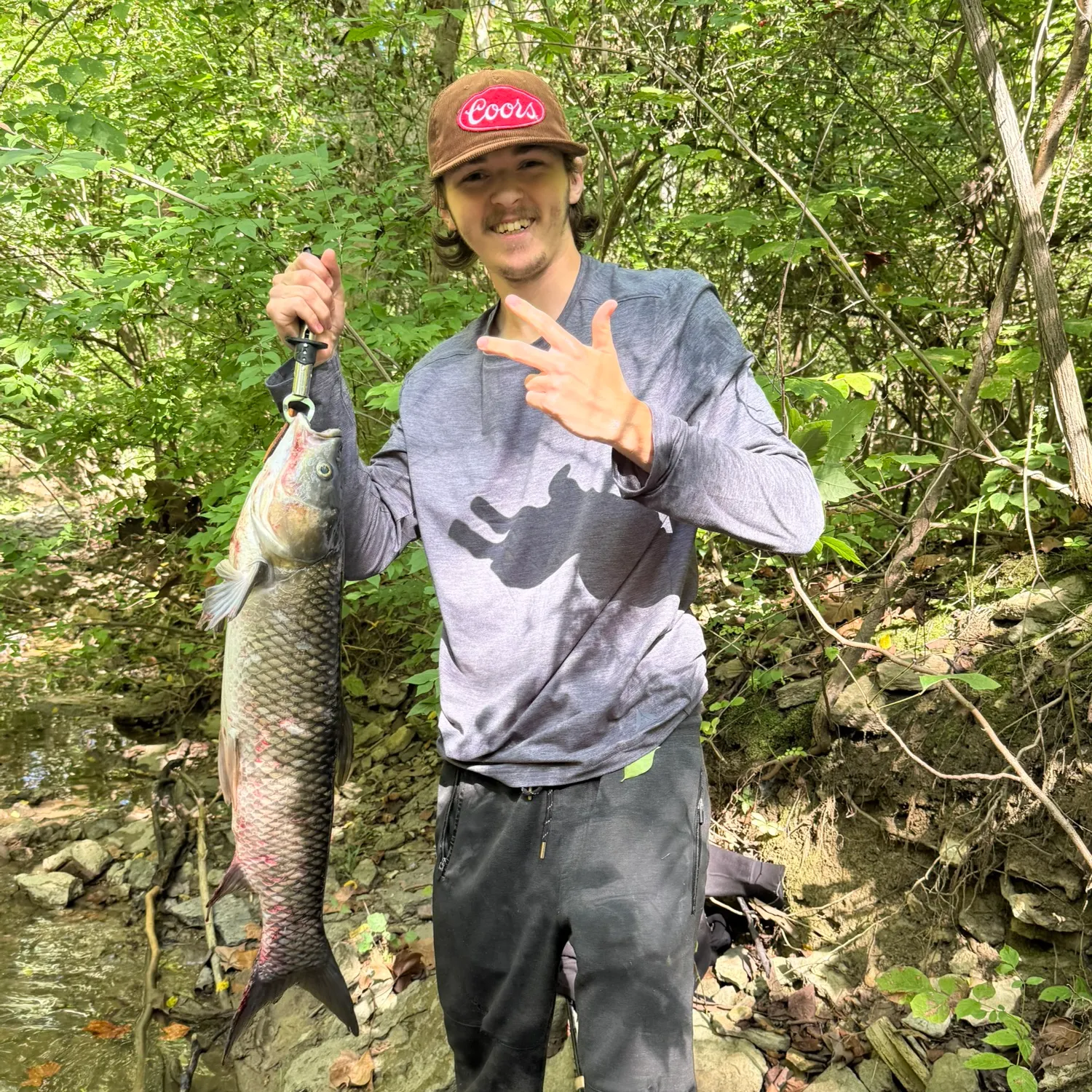 Grass carp caught on Fishbrain