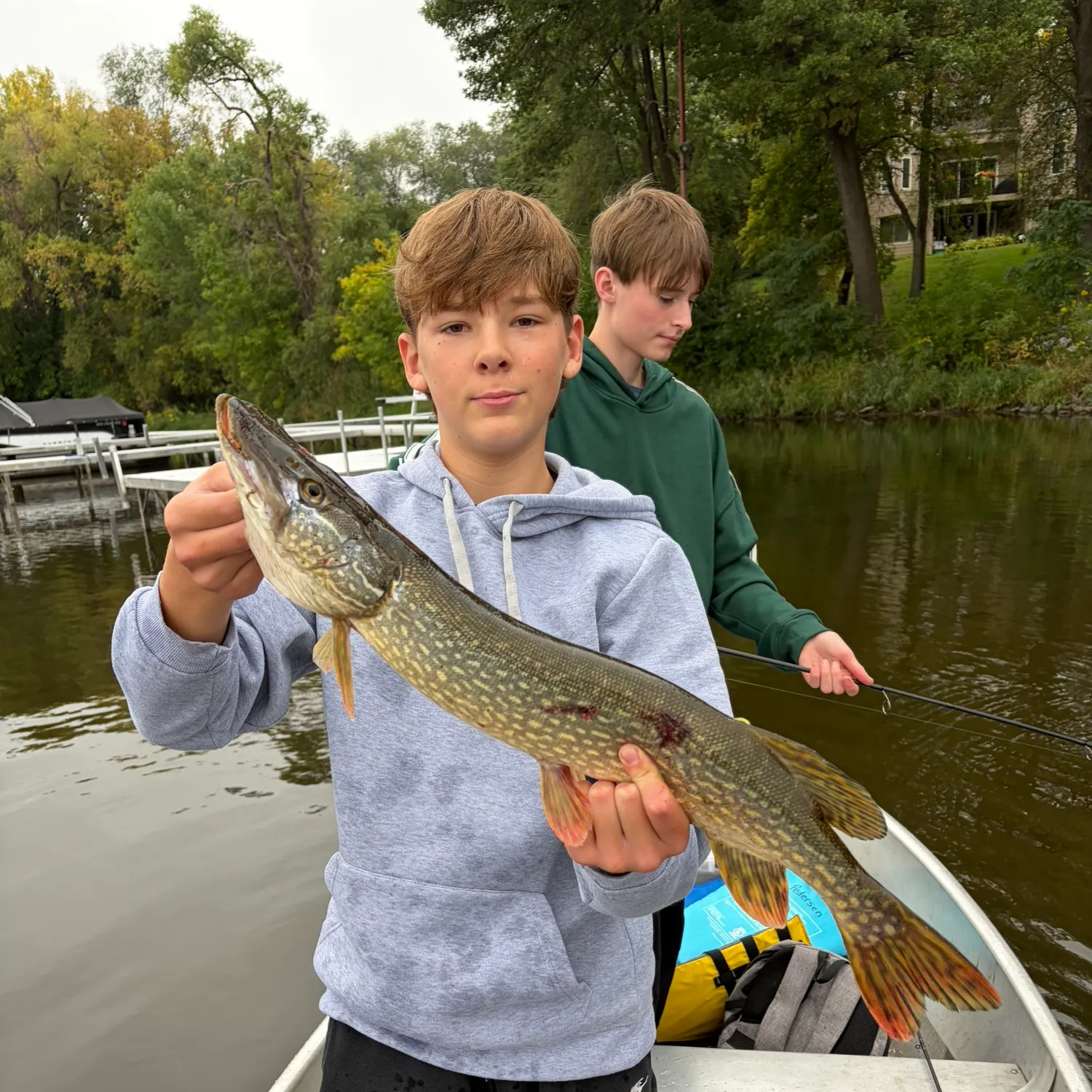 Northern pike caught on Fishbrain