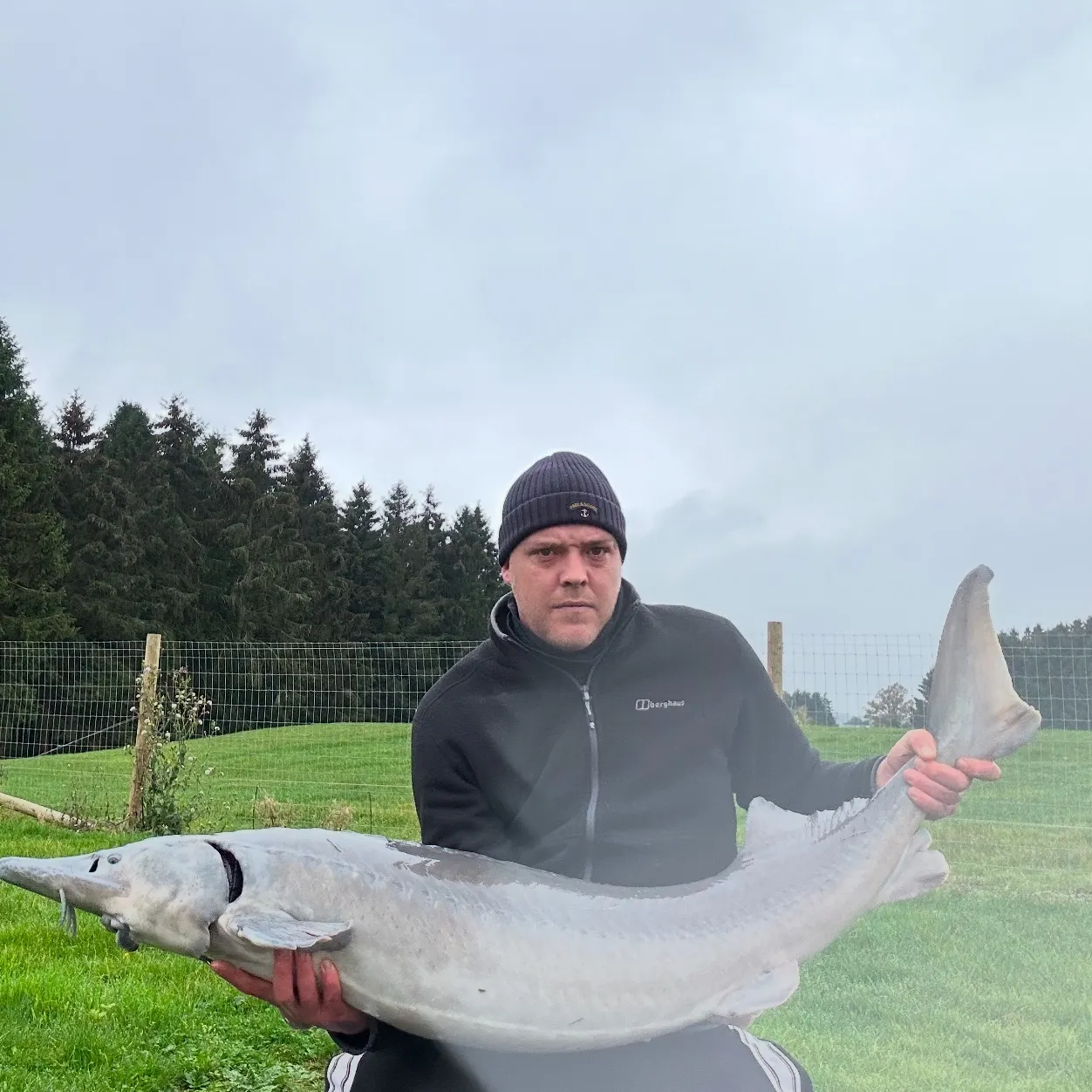 The most popular recent Siberian sturgeon catch on Fishbrain