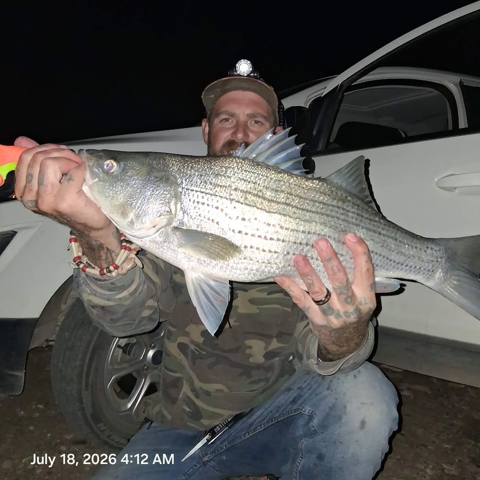 recently logged catches