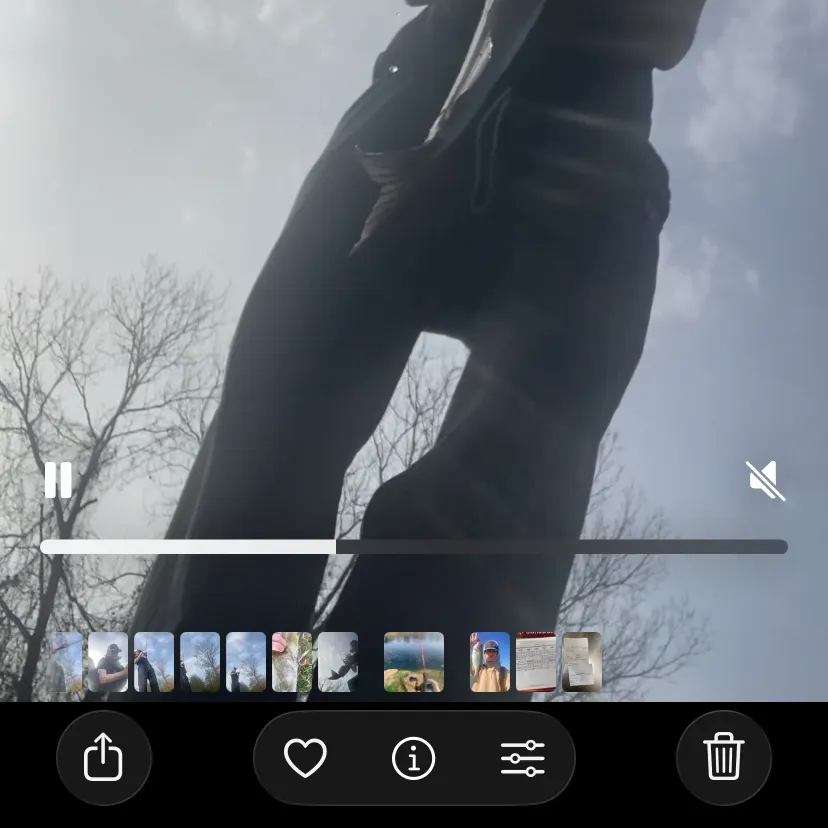 recently logged catches