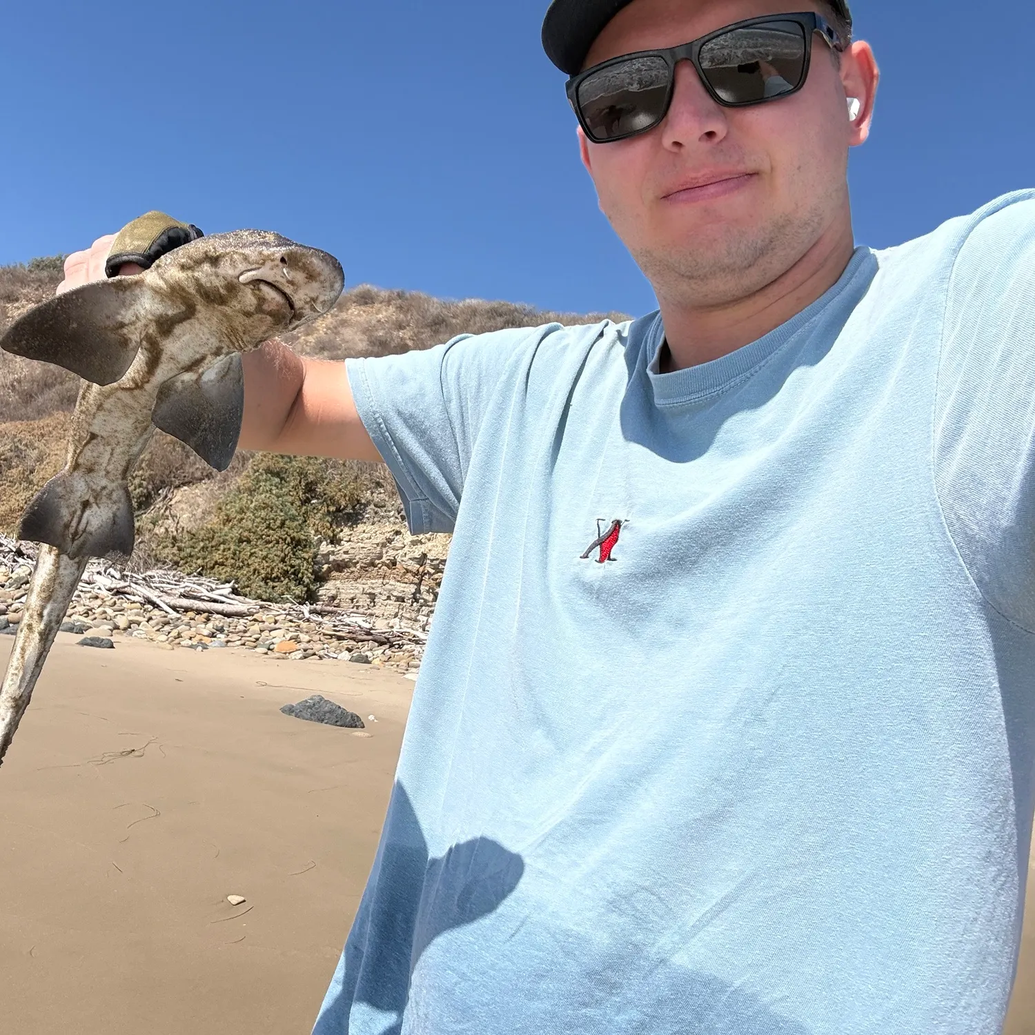 Leopard shark caught on Fishbrain