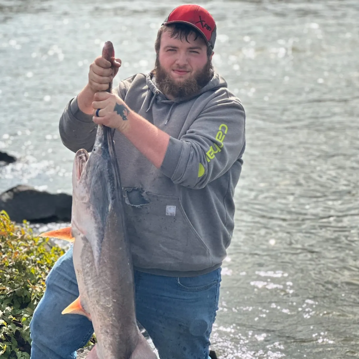 The most recent Paddlefish catches on Fishbrain