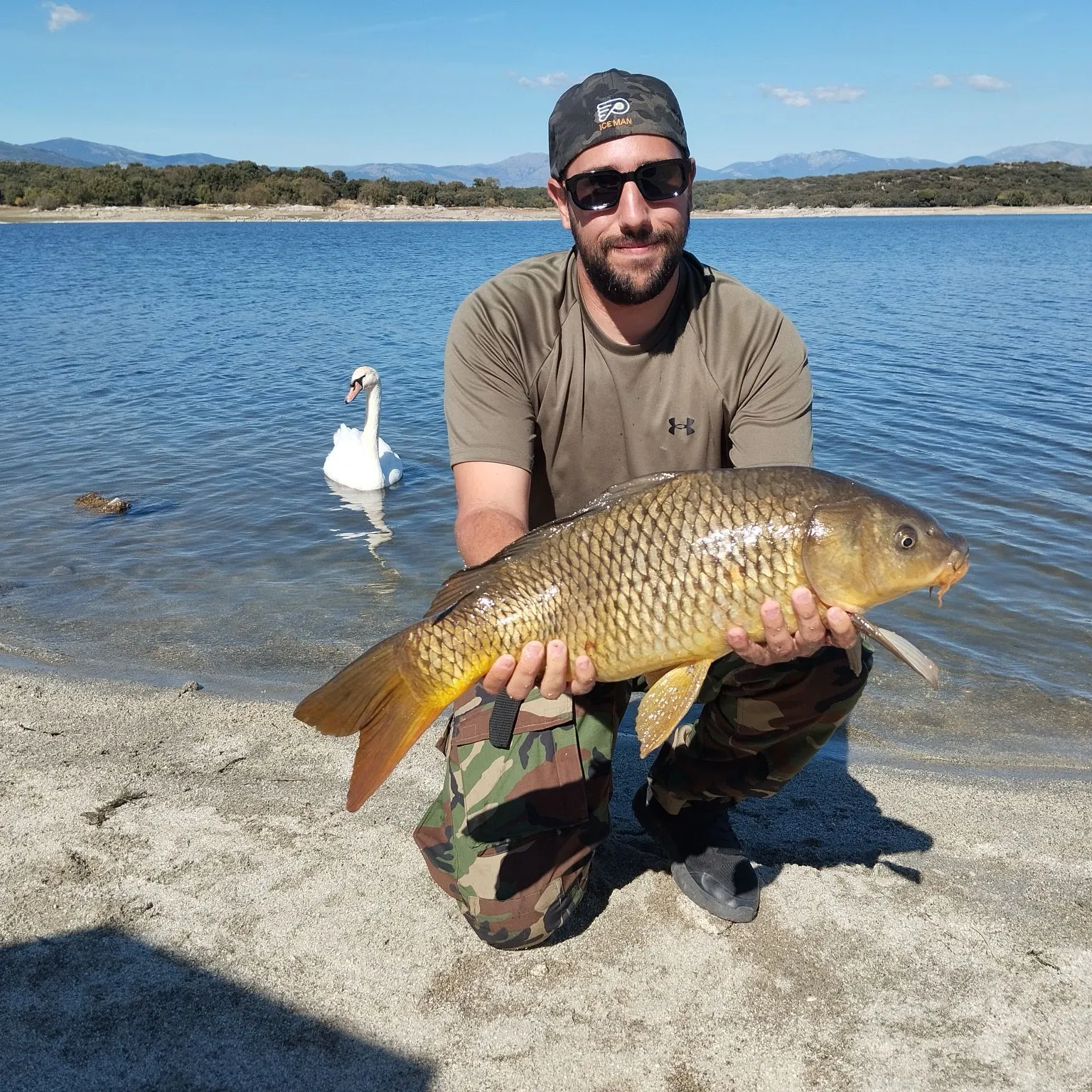 Common carp caught on Fishbrain