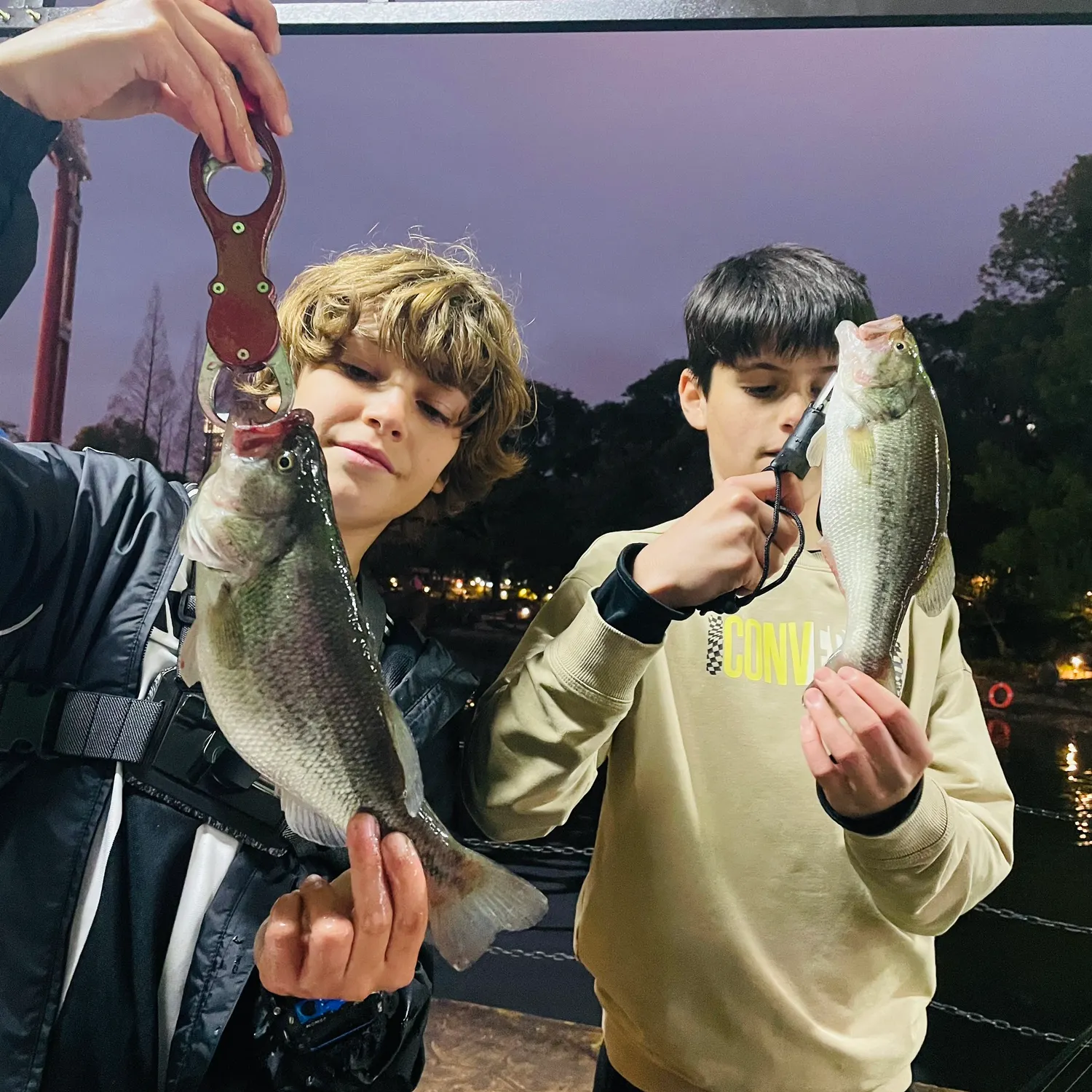 recently logged catches