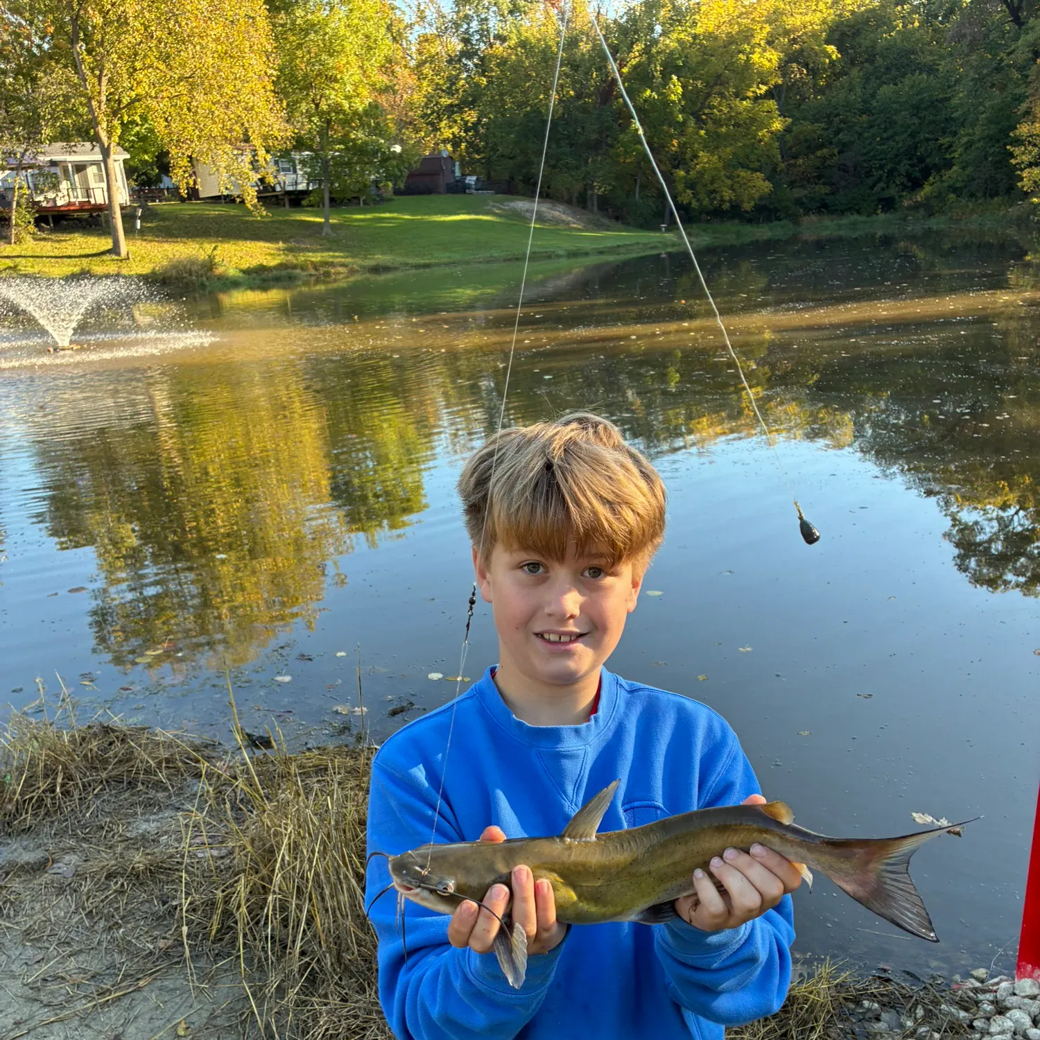 Channel catfish caught on Fishbrain